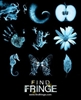 图片 2011 Medicom Series 23 SF Fringe BE＠RBRICK