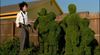 图片 2003 Edward Scissorhands shrubbery Kubrick