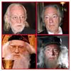 图片 2010 Harry Plotter Albus Dumbledore Kubrick