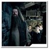 图片 2010 Harry Plotter Rubeus Hagrid Kubrick