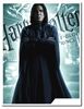 图片 2010 Harry Plotter Severus Snape Kubrick