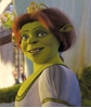 图片 2003 Shrek Boxset C Princess Fiona Kubrick