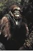 图片 2001 Planet of Apes Set D Krull Kubrick