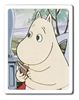 图片 2004 Moomin Series 2 Mamma Kubrick