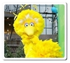 图片 2003 Seasame Street Series 1 big bird Kubrick