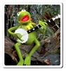 图片 2004 Muppets Kermit the Frog Kubrick