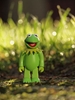 图片 2004 Muppets Kermit the Frog Kubrick