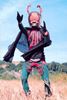 图片 2007 Kamen Rider 幪面超人 合金 VOl. 1 蜘蛛男 Kubrick