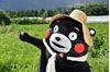 图片 2012 くまモンの Kumamon 熊本熊 BE@RBRICK 