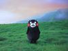 图片 2012 くまモンの Kumamon 熊本熊 BE@RBRICK 