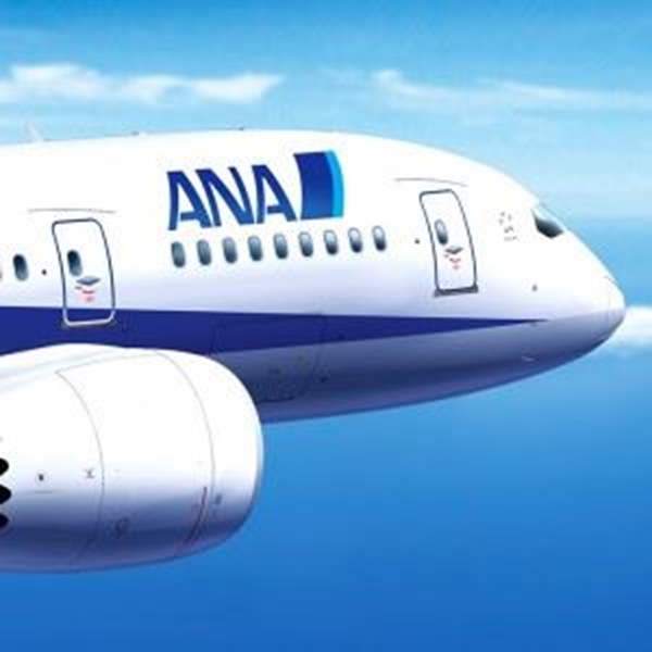 分类图片 ANA