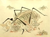 图片 2000 海洋堂 百鬼夜行土蜘蛛陰之卷