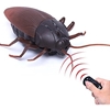 图片 2017 GIANT ROACH REMOTE