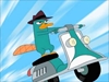 图片 2015 Phineas and Ferb Agent P