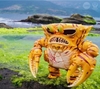 图片 2018 STS The Gigantic Crab Kaiju 虎紋超蟹怪獸