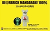 图片 2018 100% Mandarake 夜光 BE@RBRICK