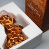图片 2018 Circle of Life Lion & Giraffe