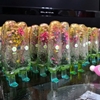 图片 2018 POPSICLE MON 彩花冰棒