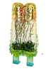 图片 2018 POPSICLE MON 彩花冰棒