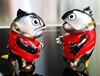 图片 2019 豆芽水產 Mame Moyashi 迷你鮪魚 A