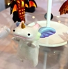 图片 2019 Shoko Nakazawa Unicorn Rangeron