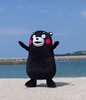 图片 2014 縣市吉祥物 Vo2 くまモン（熊本県）