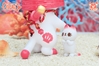 图片 2019 K2TOY 珊瑚御貓