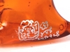 图片 2019 吃貨恐龍 透明 飯糰翼手龍