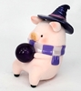 图片 2020 罐頭豬．LuLu 魔法師 預知水晶球