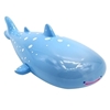 图片 2020 RICO HAPPY SEA 鯨鯊