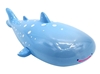 图片 2020 RICO HAPPY SEA 鯨鯊