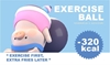 图片 2020 LULU Fitness Club 健身球