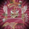 图片 2020 POPMART VIVI CAT 懶頭盔系列 西瓜盔