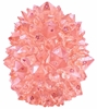 图片 2021 Hogkey Sakura