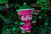 图片 2021 Ojiko Zombie 殭屍阿婆(Pink)