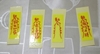 图片 2021 Ojiko Zombie 殭屍阿婆(Red)