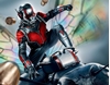 图片 2021 Marvel Ichibankuji Card 5 ANTMAN BE＠RBRICK
