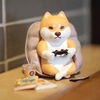 图片 2021 HOMESHIBA 倉屋柴犬 實力熬夜
