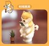 图片 2021 HOMESHIBA 倉屋柴犬 時間黑洞