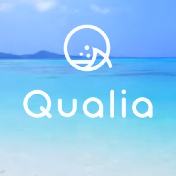 分类图片 Qualia