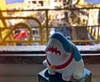 图片 2024 sharky sit