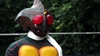 图片 2024 100% KAMEN RIDER AMAZON BE@RBRICK
