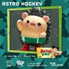 图片 2024 Tangent Astro Hogkey
