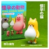 图片 2024 懷孕動物盲盒第一彈 貓