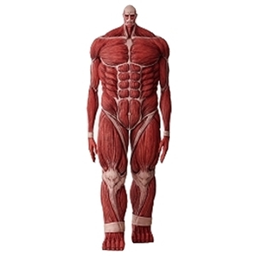 图片 2025 一番賞 進擊的巨人 超大型巨人 MEGAIMPACT