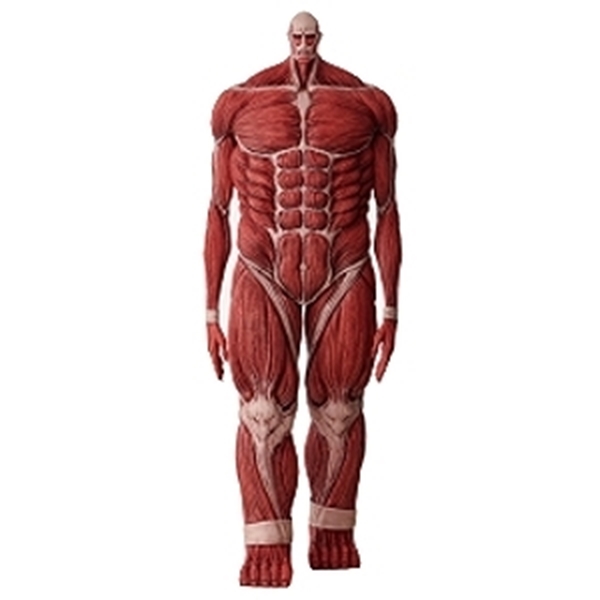 图片 2025 一番賞 進擊的巨人 超大型巨人 MEGAIMPACT