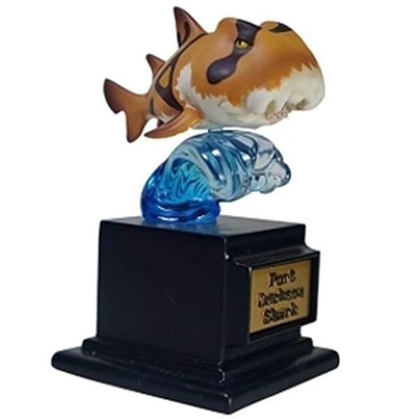 图片 2022 博物志 海洋收藏家 鯊魚篇 虎鯊